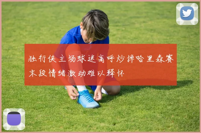 独行侠主场球迷高呼炒掉哈里森赛末段情绪激动难以释怀