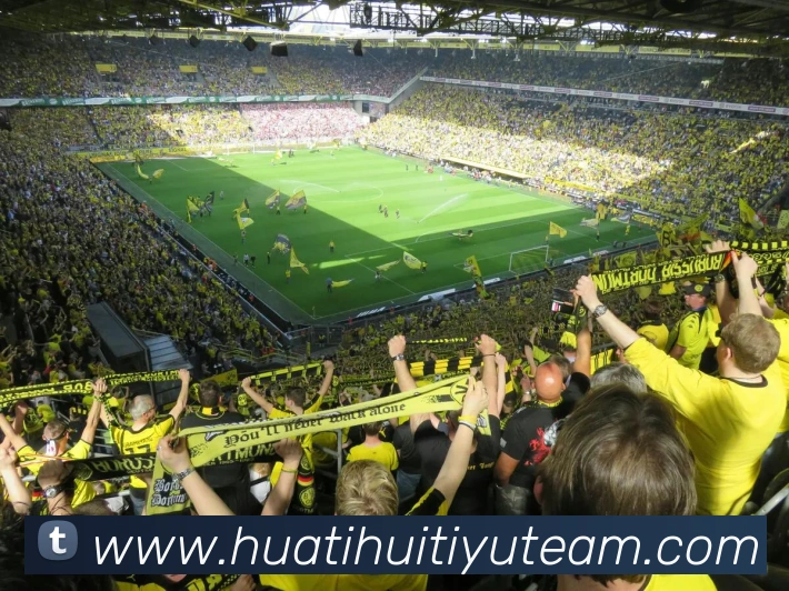 华体会体育APP 封面图