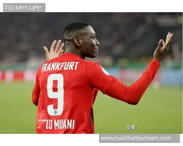 穆阿尼无需手术治疗但需佩戴护具面罩继续参赛 穆阿尼无需手术治疗但需佩戴护具面罩继续参赛